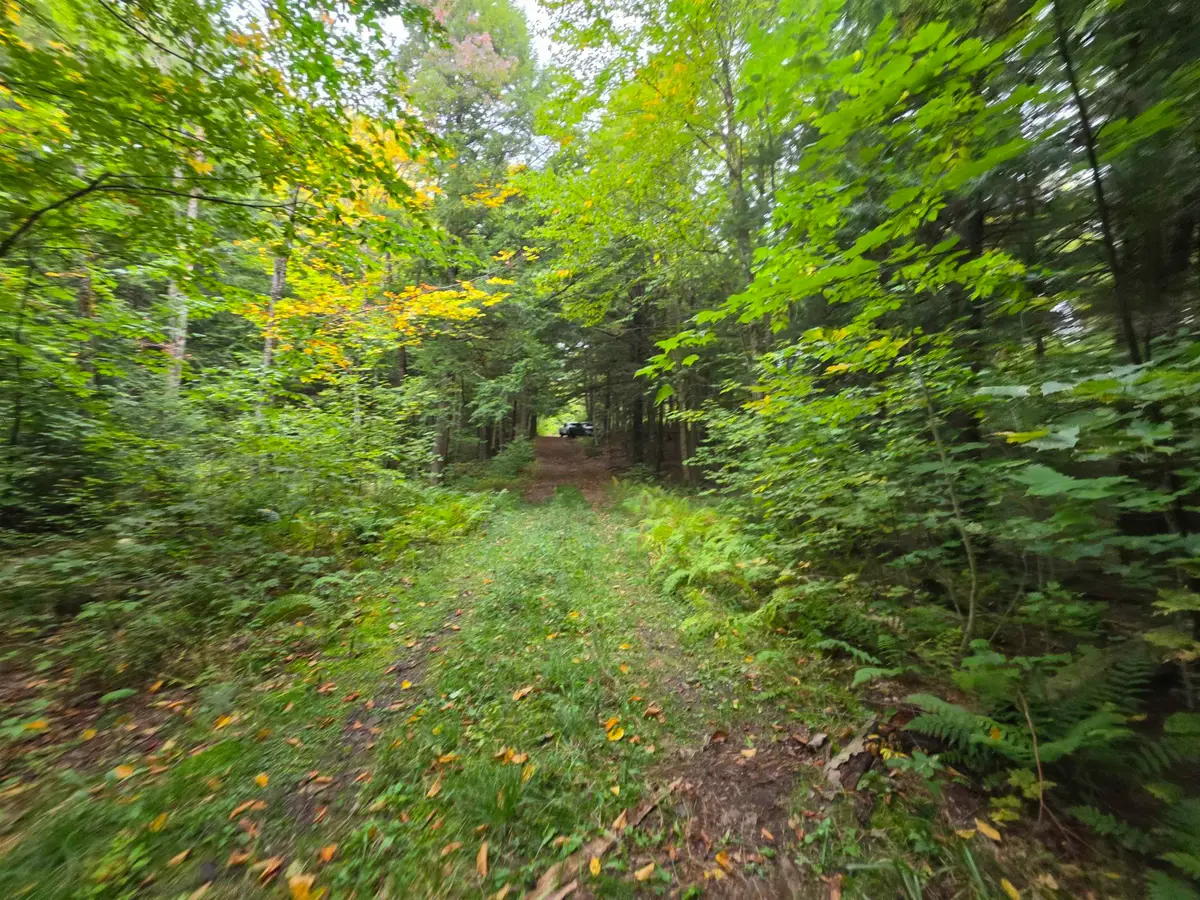 Lot#7 Woodland Drive, Jay, VT 05859 - #1