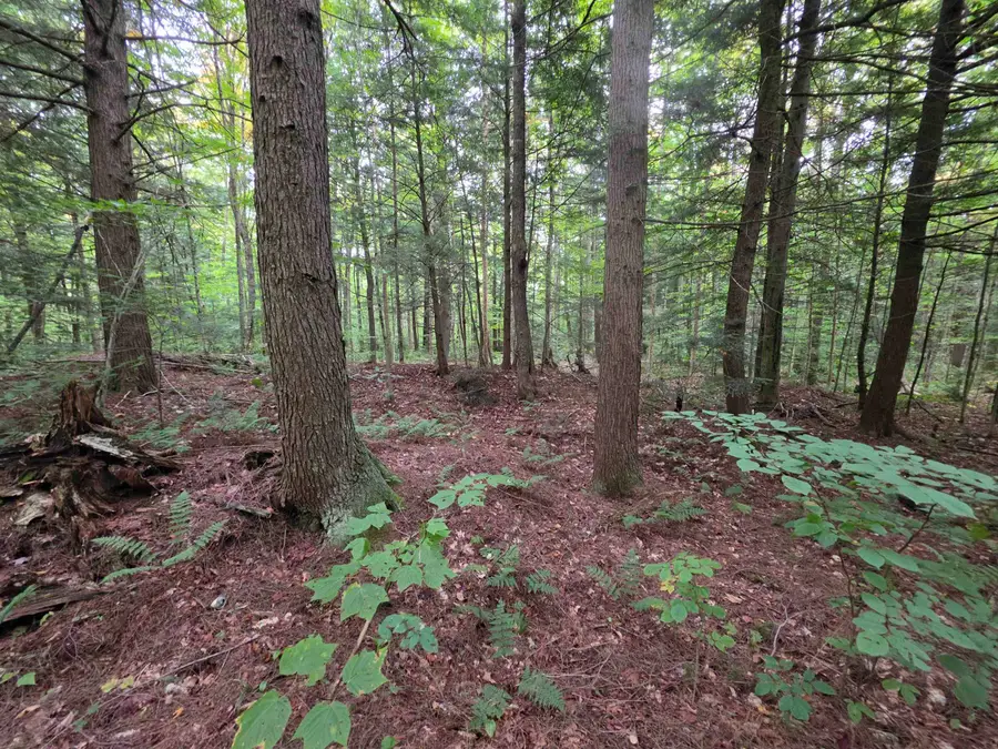 Lot#7 Woodland Drive, Jay, VT 05859 - #2