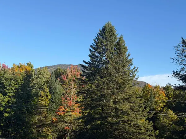 000 Burke Hollow Road #1 & 2, Burke, VT 05832-9751