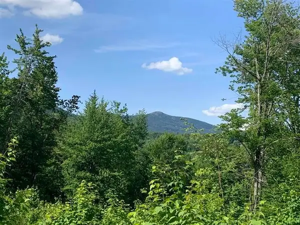 0 Leland Farm Road #Lot D, Middlesex, VT 05602