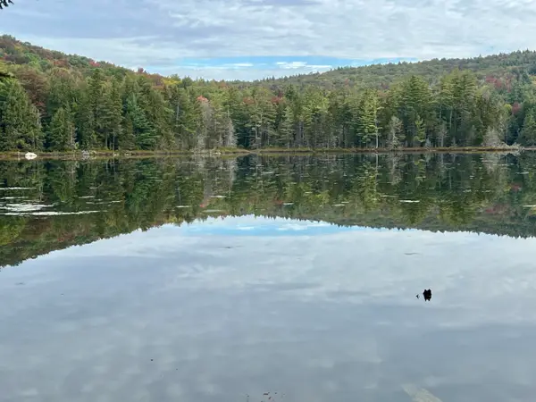 Forrester Road, Jamaica, VT 05343