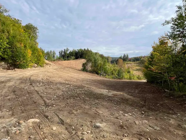 Forrester Road, Jamaica, VT 05343