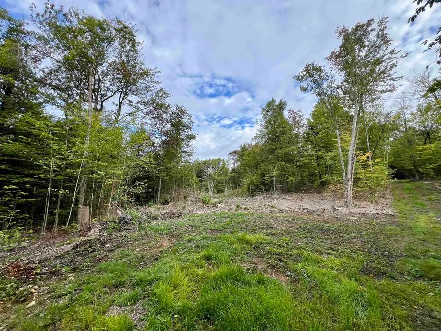 Forrester Road, Jamaica, VT 05343 - #2