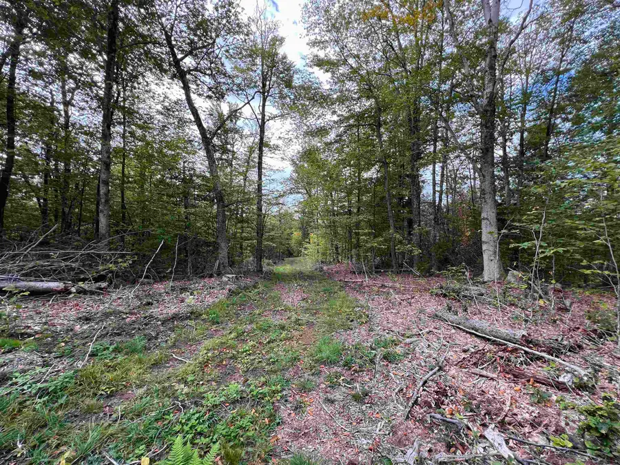 Forrester Road, Jamaica, VT 05343 - #3
