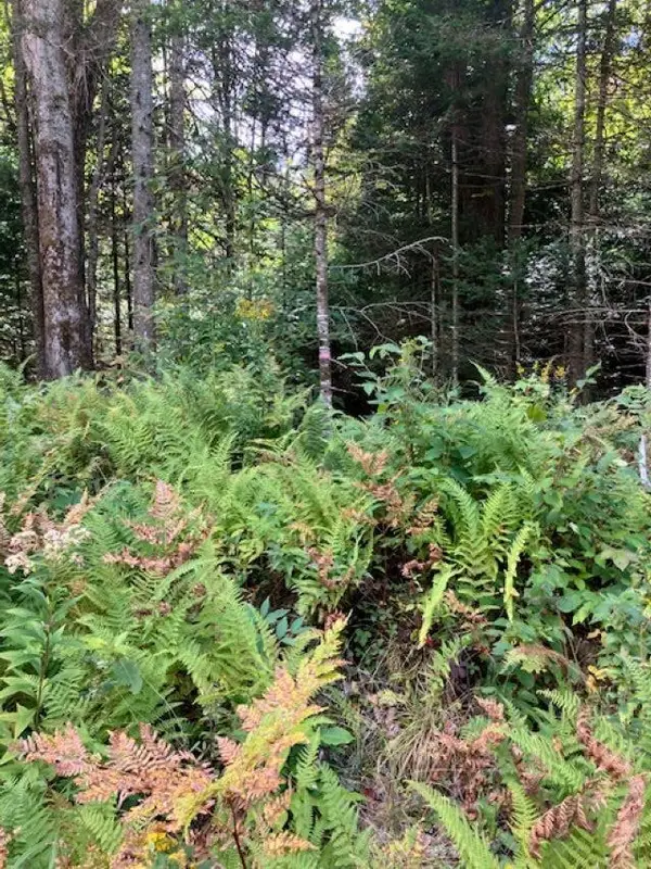 0 Four Wheel Drive, Morgan, VT 05853