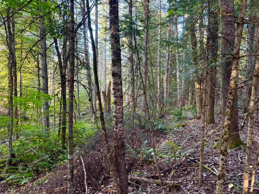 Lot 6 Jennings Road, Colebrook, NH 03576 - #3