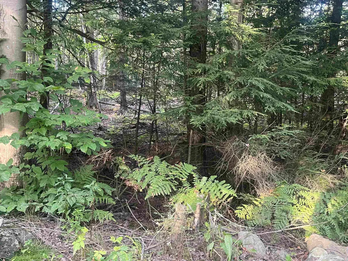 Lot 3 Clif Reynolds Road, Cambridge, VT 05444 - #1