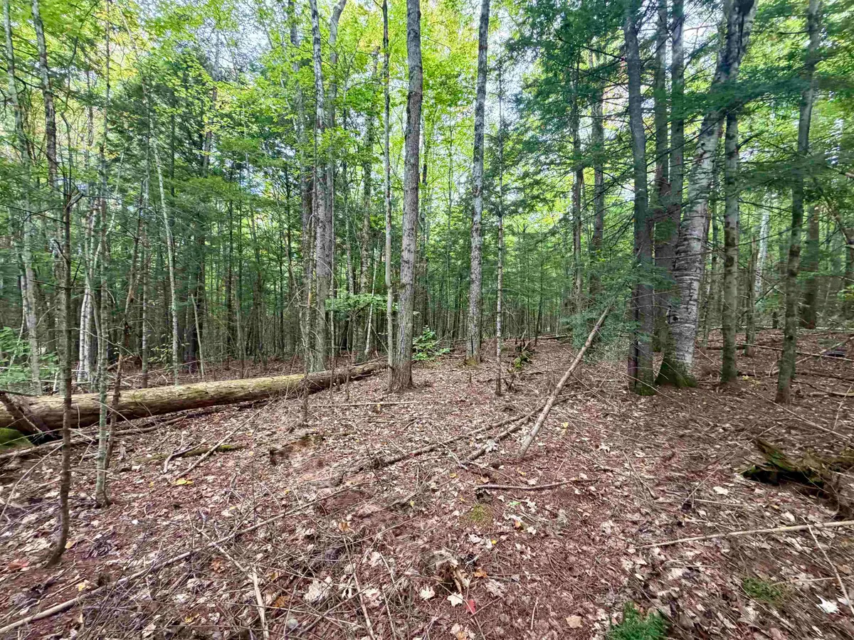 Windmill Road #Lot 3, Campton, NH 03223 - #1