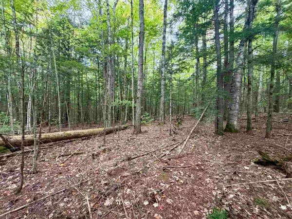 Windmill Road #Lot 3, Campton, NH 03223