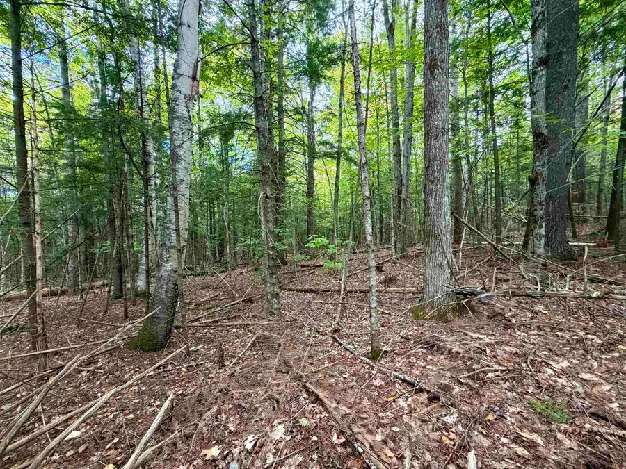 Windmill Road #Lot 3, Campton, NH 03223 - #2