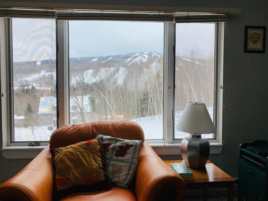34 SnowTree Lane #Meadows B, Dover, VT 05356 - #2
