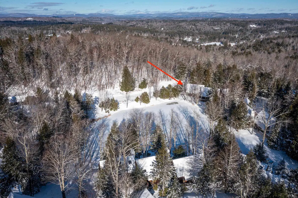 81 Pond View Road, Winhall, VT 05340 - #1