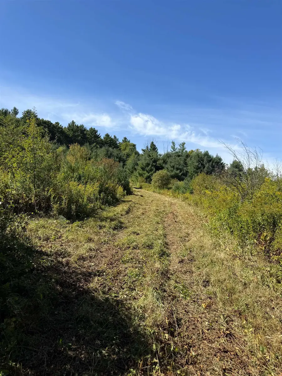 Woodbury & Eureka Road, Springfield, VT 05156 - #2