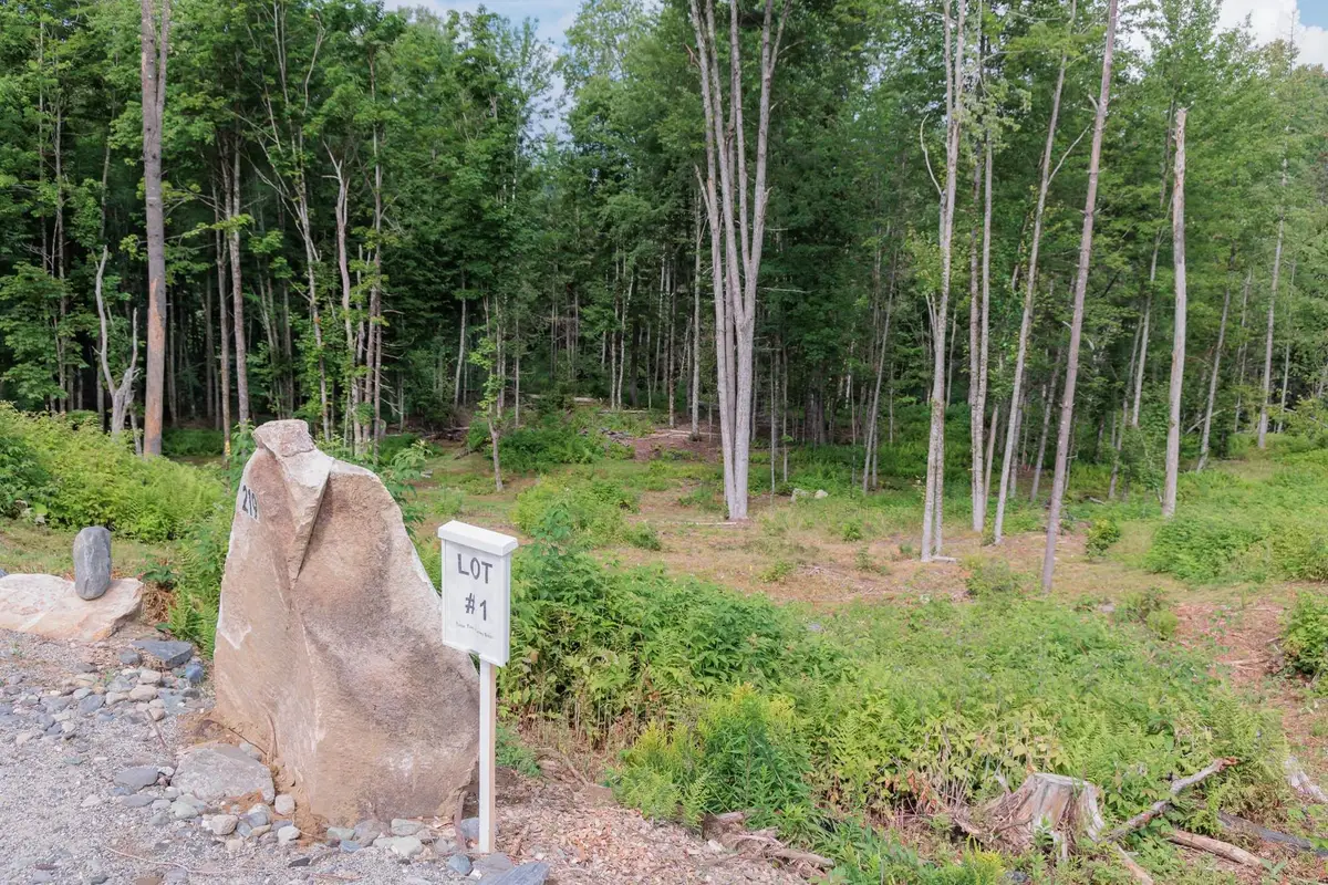 219/249 Weber Brook Lane #1 & 2, Craftsbury, VT 05826 - #1