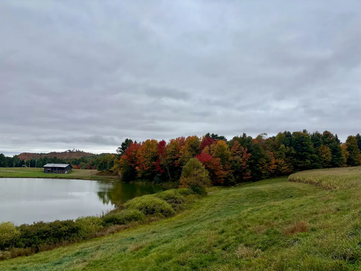 0000 Lily Pond Road #6, Lyndonville, VT 05851 - #1