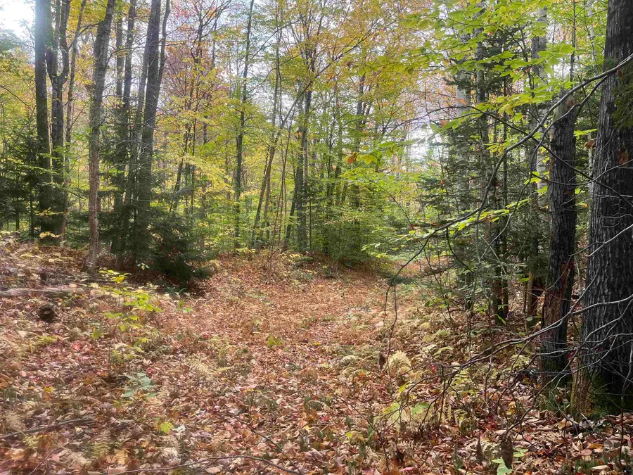 3401 Plunkton Road, Warren, VT 05674 - #3