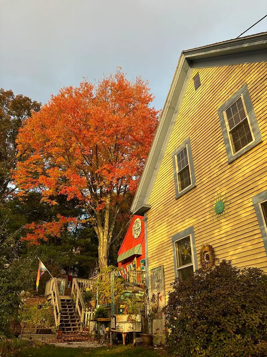 84 Main Street, Ashland, NH 03217 - #3