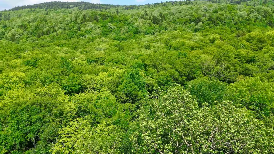 0 North Road, Eden, VT 05653 - #3