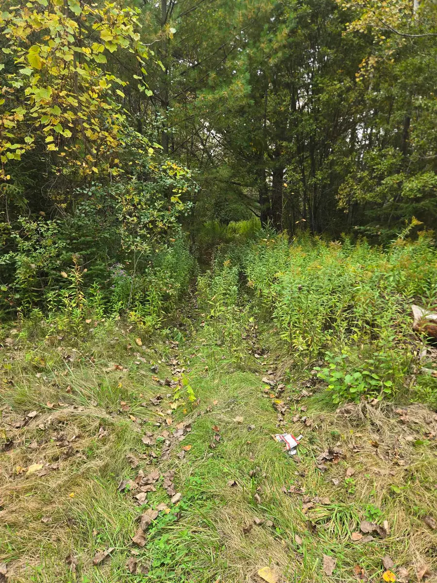 265 East Clarendon Road, Clarendon, VT 05759 - #3