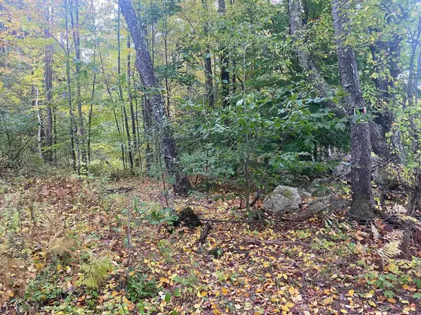 00 Bugbee Road, Springfield, VT 05156