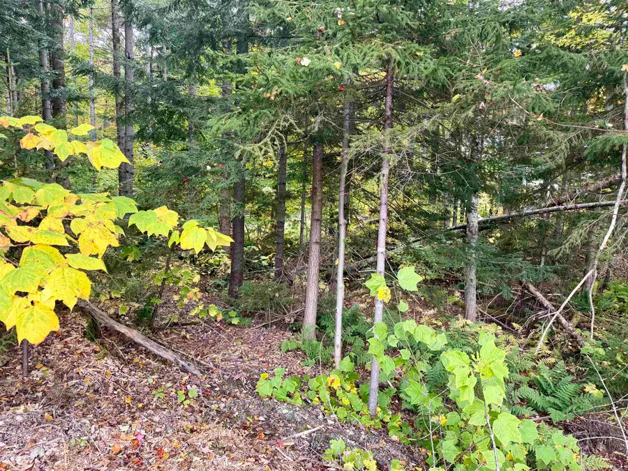 123 High Top Road, Wilmington, VT 05363 - #3