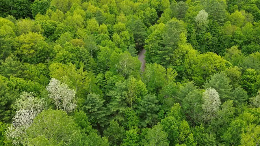 7 Sugar Hill, Underhill, VT 05489 - #2