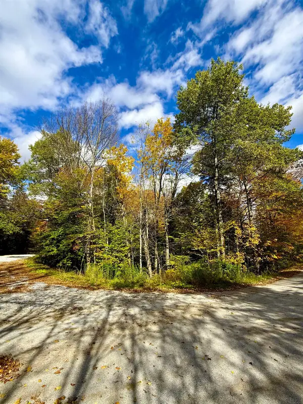 0 Okemo Way #47 & 48, Mount Holly, VT 05758