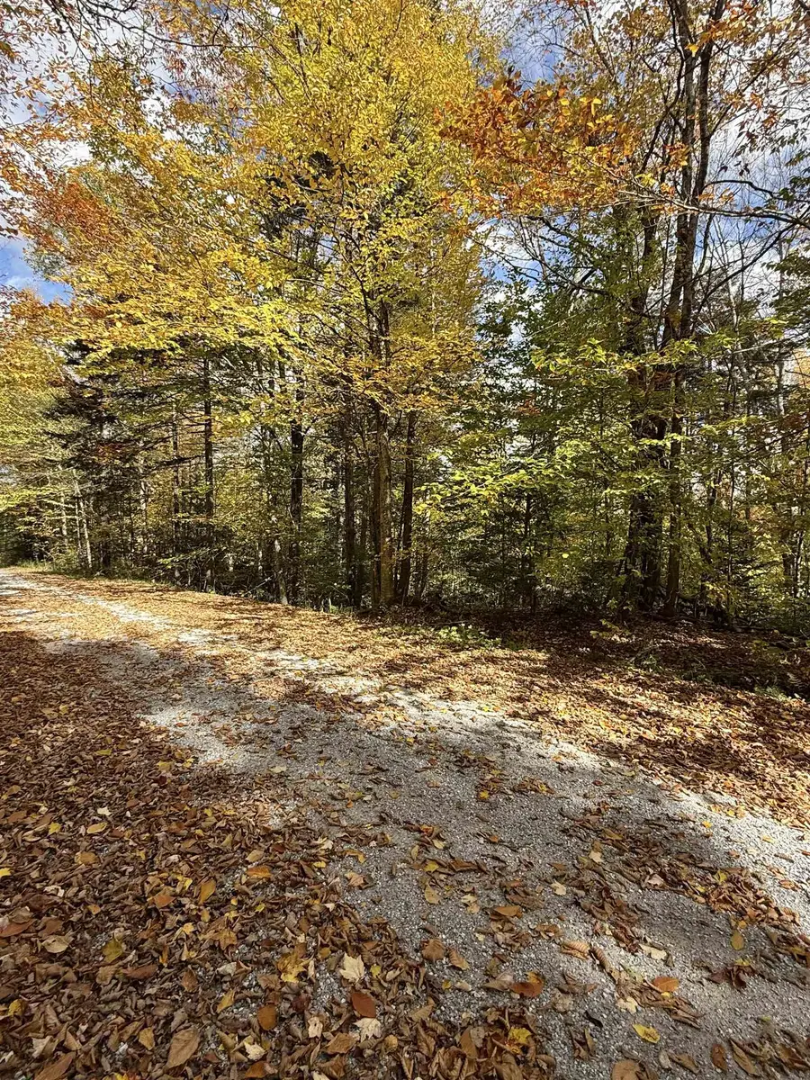 0 Okemo Way #47 & 48, Mount Holly, VT 05758 - #2