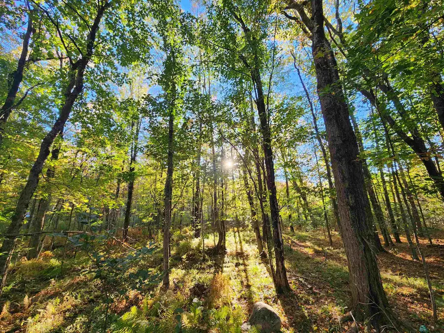 TBD Tall Pine Road, Farmington, NH 03835 - #3