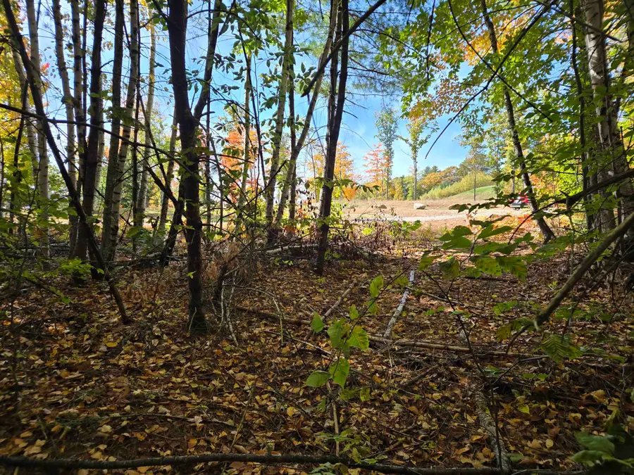 Cottage Road, Weare, NH 03281 - #3
