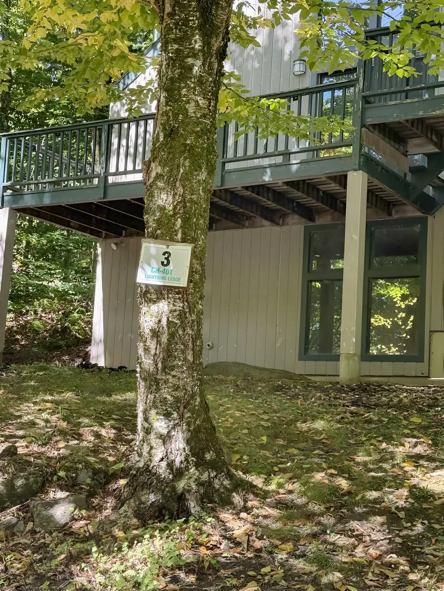 3 Lightning Ledge Way, Wilmington, VT 05363 - #3