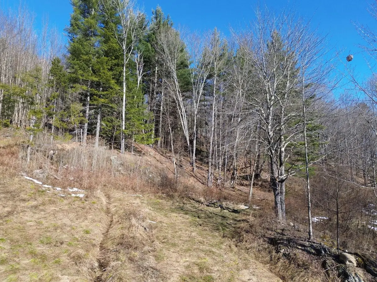 00 Bent Birch Lane #3, Warren, VT 05674 - #1