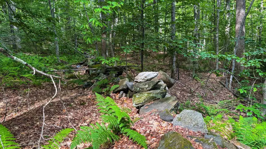 1930 Stone Chimney Road, Reading, VT 05062 - #2