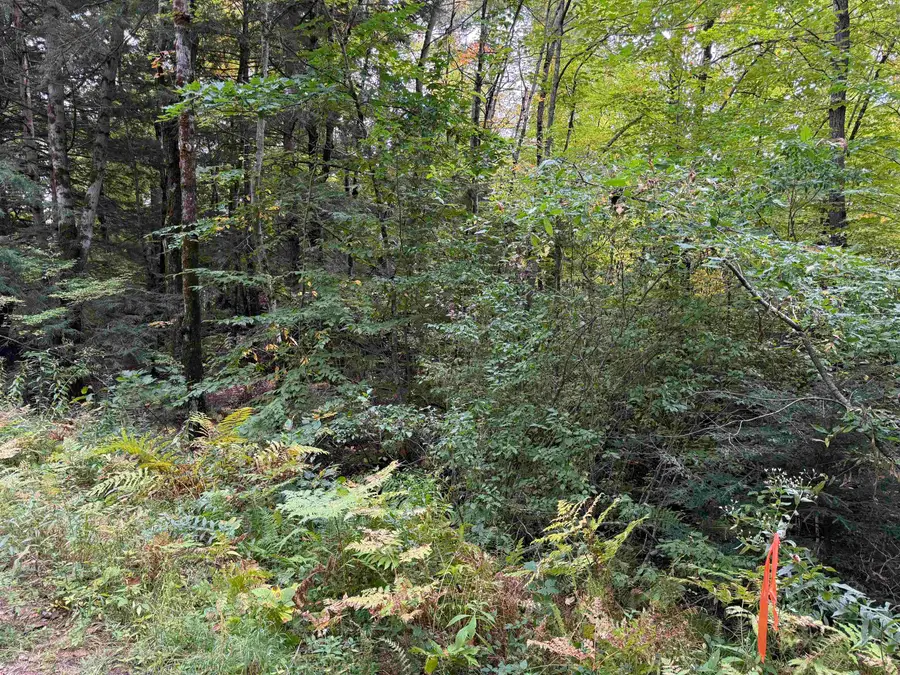 16-75 Ravenhead Lane, Hillsborough, NH 03244 - #2