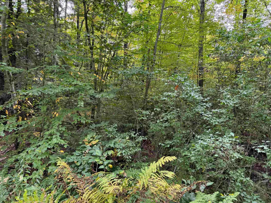 16-75 Ravenhead Lane, Hillsborough, NH 03244 - #3