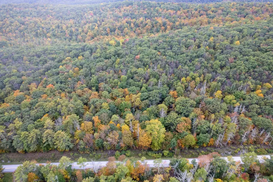 0 West Castleton Road, Castleton, VT 05735 - #3