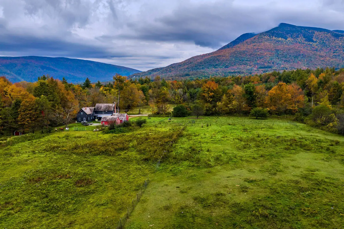 818 Danby Hill Road, Danby, VT 05739 - #1