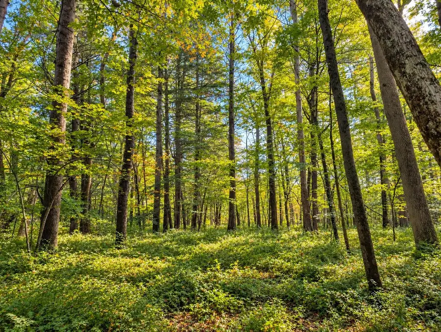 Lot 2 MA-41, Richmond, MA 01254 - #2