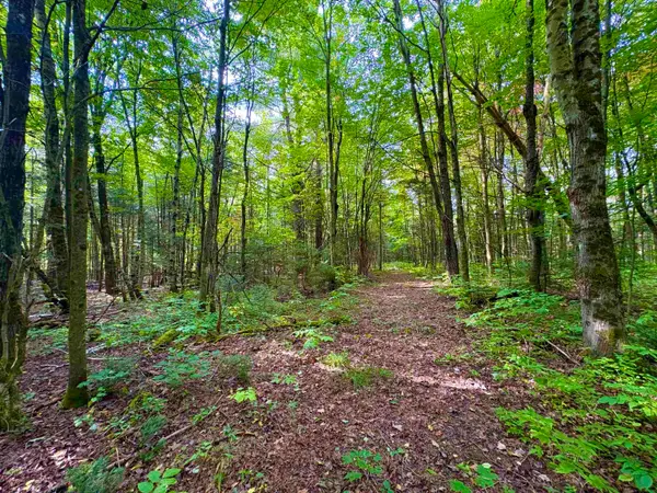 0 Partridge Hollow Road, Jay, VT 05859