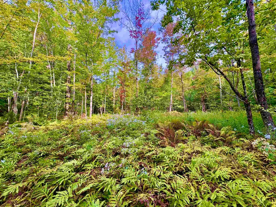0 Partridge Hollow Road, Jay, VT 05859 - #2