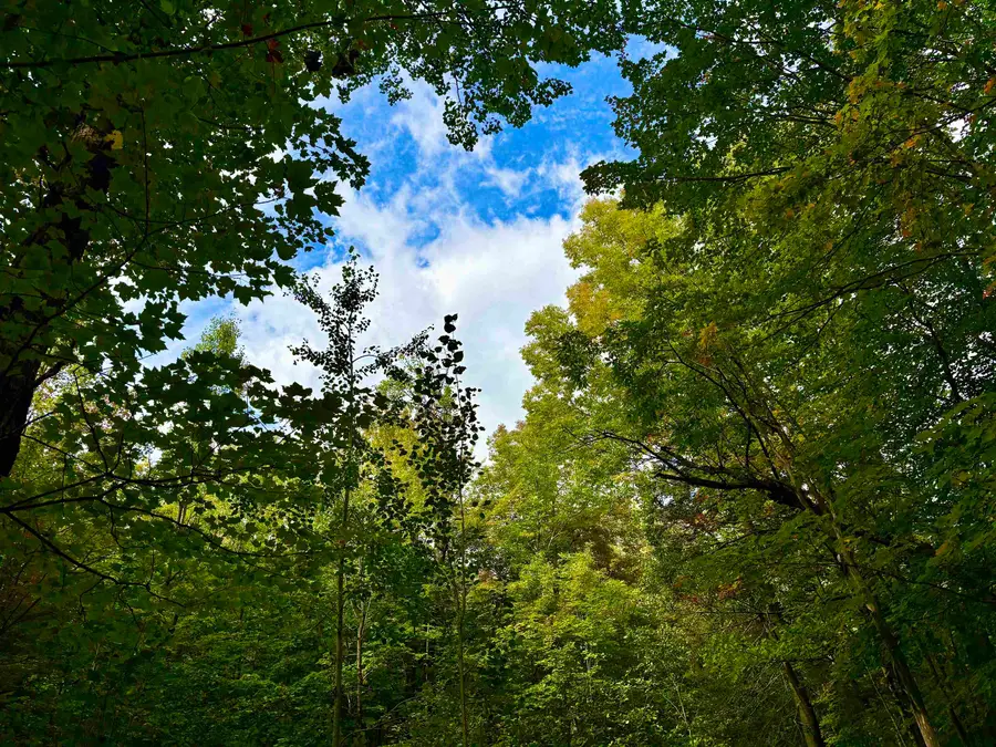 0 Partridge Hollow Road, Jay, VT 05859 - #3