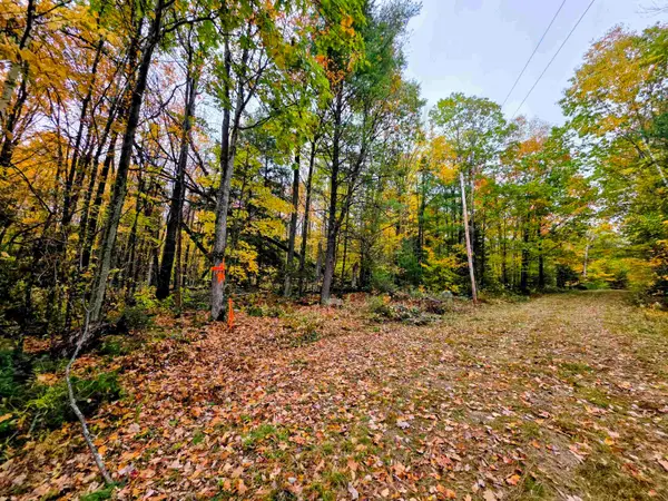 Blue Trail, Bath, NH 03740