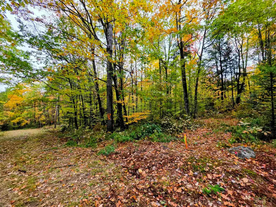 Blue Trail, Bath, NH 03740 - #2