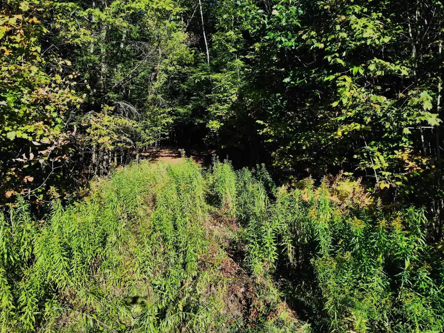 0 Jericho Street, Hartford, VT 05001 - #3