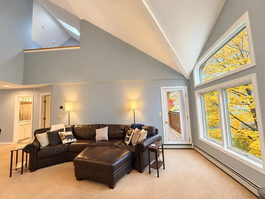 6F Deer Creek Road, Dover, VT 05356 - #3