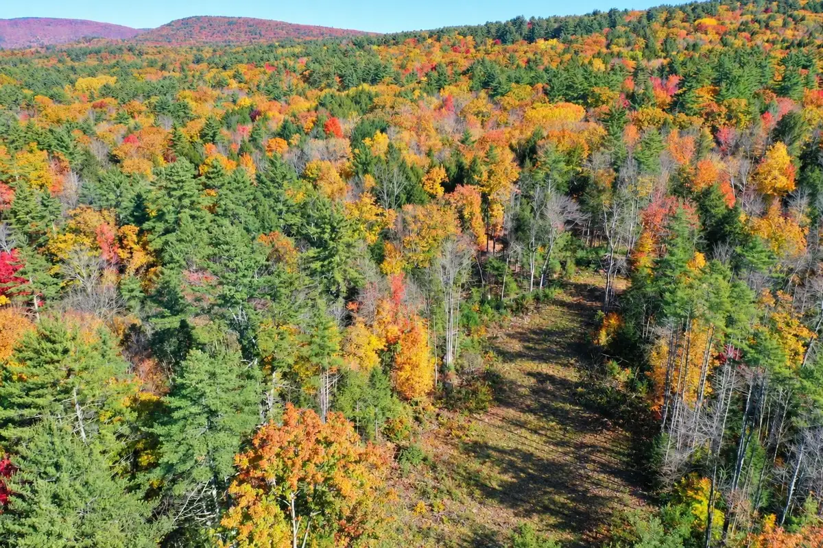 Map 7 Lot 4-1 Avery Hill Road, Alton, NH 03809 - #1