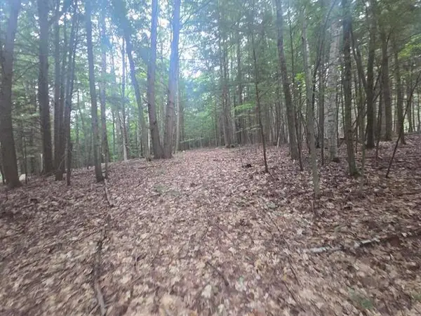 Map 09 Lot 30 Gould Pond Road, Hillsborough, NH 03244