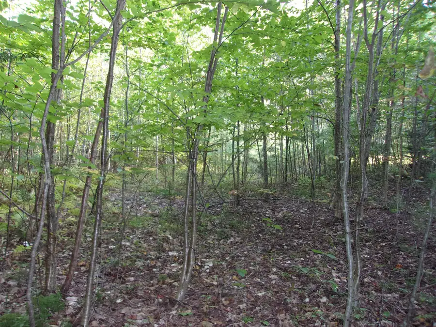 Fenn Way Circle #9, Bath, NH 03740 - #2