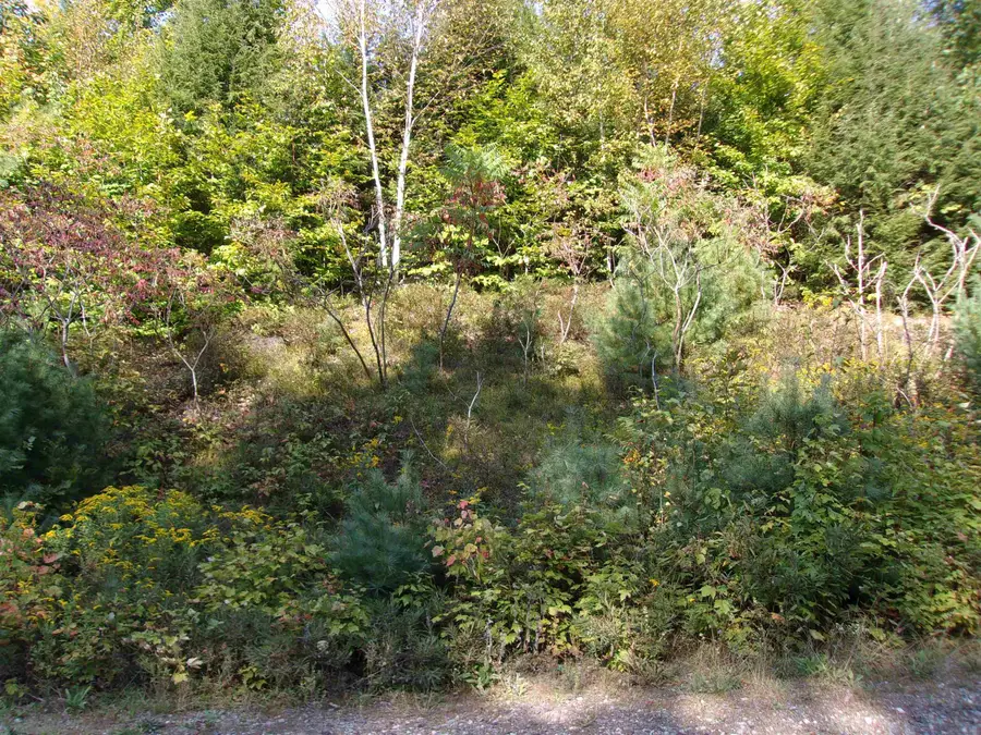 Fenn Way Circle #29, Bath, NH 03740 - #3