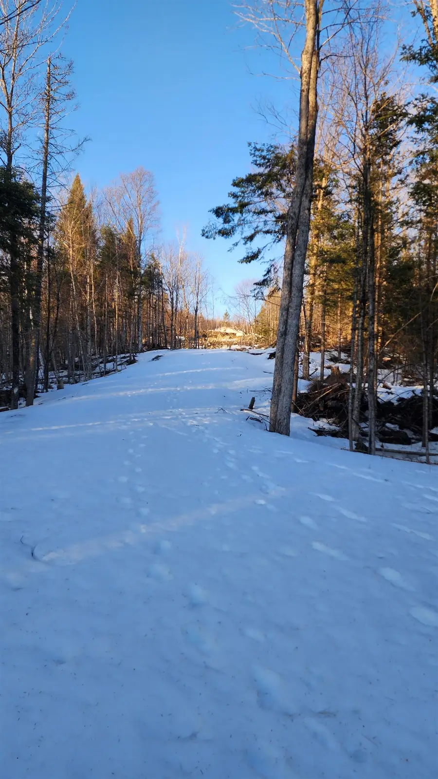 00 US Route 2, Randolph, NH 03593 - #3
